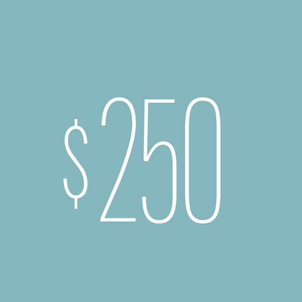 $250 Gift Card
