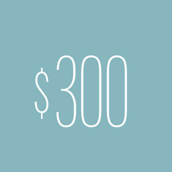 $300 Gift Card