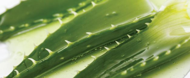 Upgrade your next spa treatment