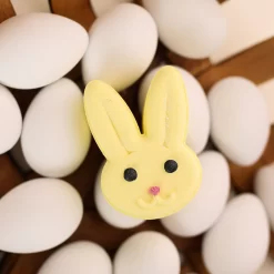 Mango Bunny Bath Bomb