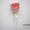 Candylabs Raspberry - Lollipop