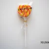 Candylabs Mango - Lollipop