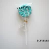 Candylabs Blueberry - Lollipop